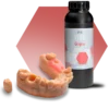 RS_VIVO_Images_600x600px-Gingiva.webp Résine RAPIDSHAPE RS VIVO Gingiva 1 kg