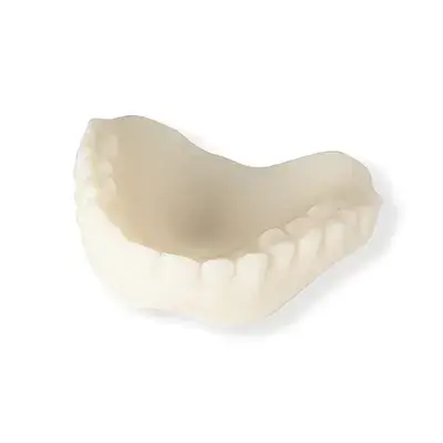 acrylic-denture-base-manufacturer.webp Résine Rayshape Try-in A2 1 kg
