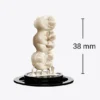 Bridge imprimé avec la Ceramix-Nano, hauteur 38 mm Bridge imprimé avec la Ceramix-Nano, hauteur 38 mm